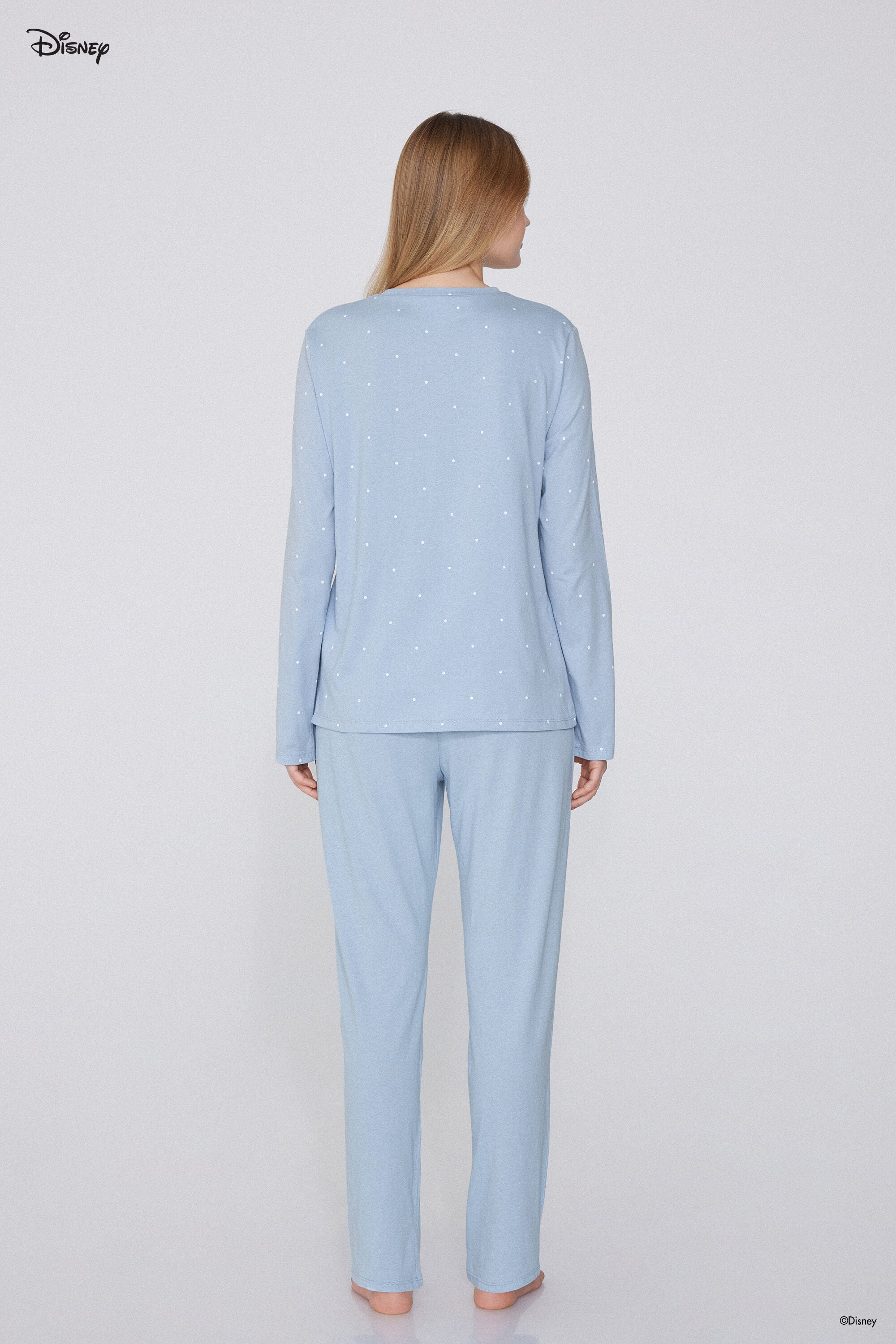 סט פיגמה הדפס Aristocats