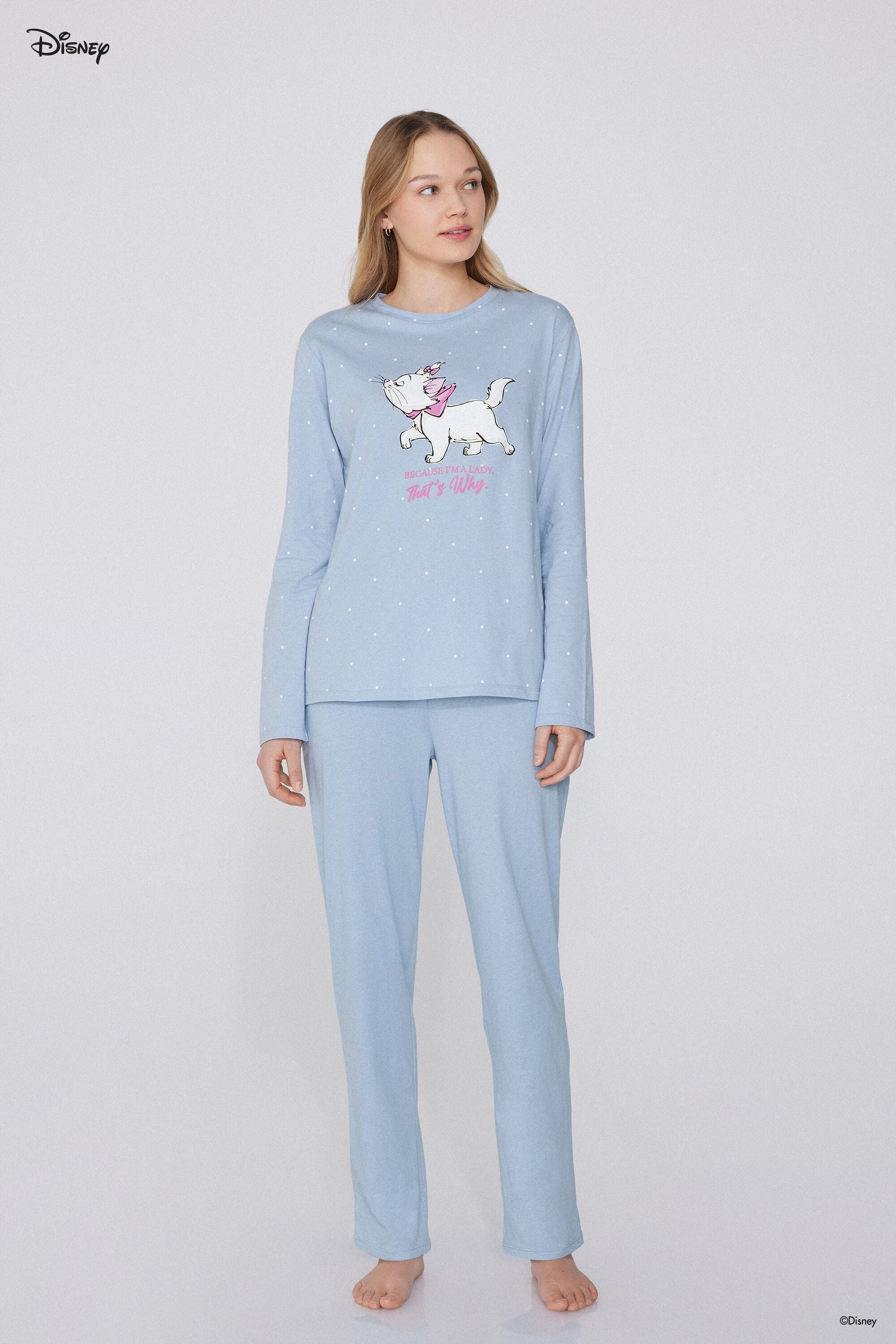 סט פיגמה הדפס Aristocats