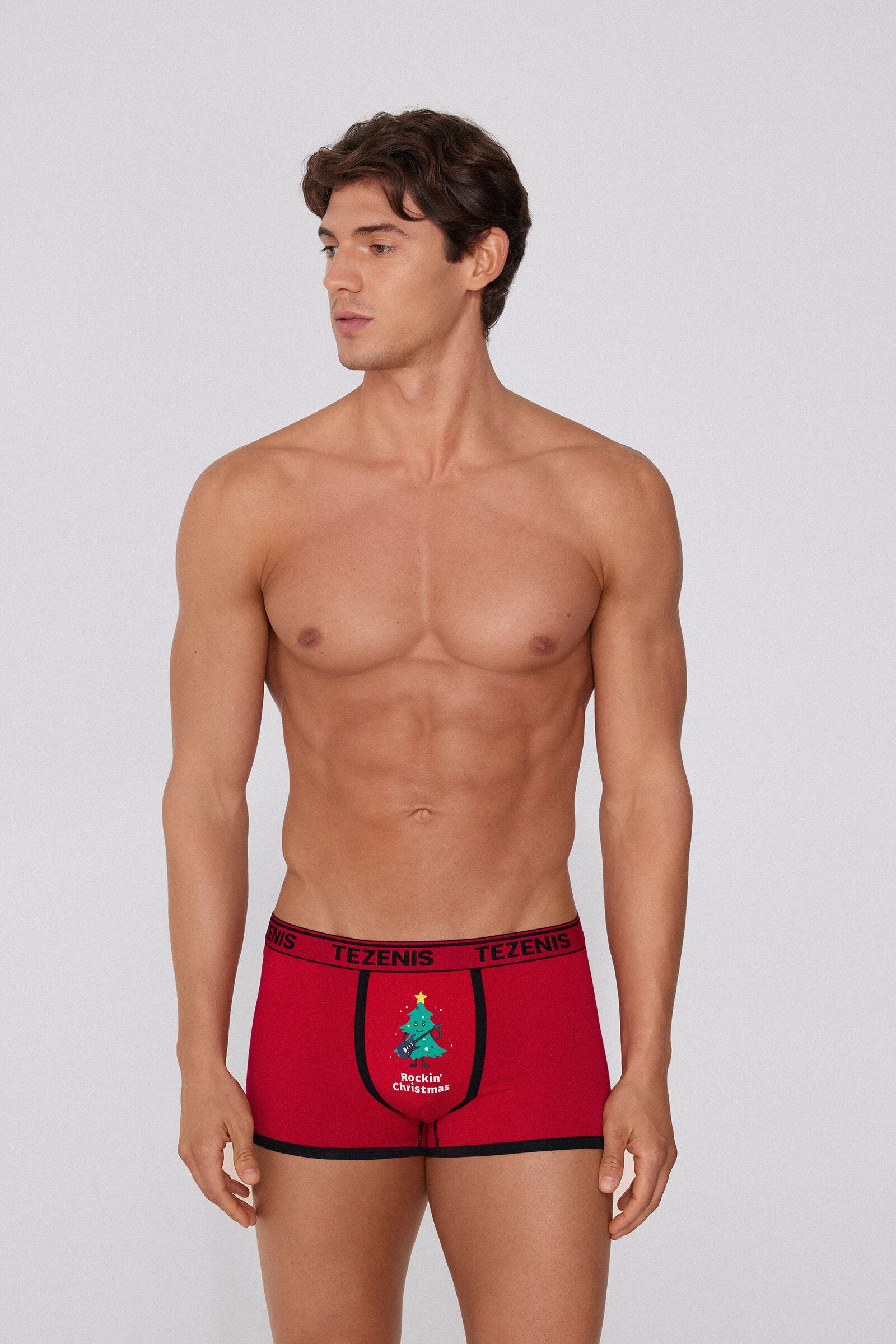 בוקסר הדפס Christmas