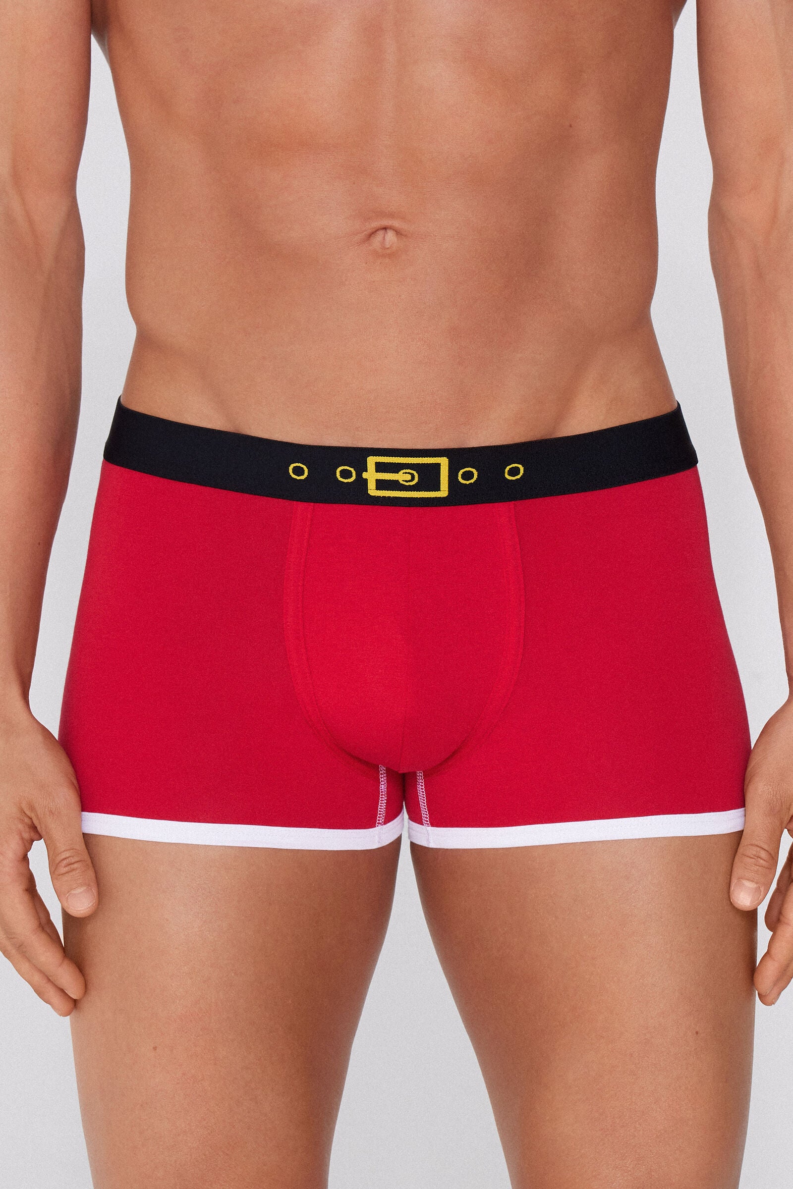 בוקסר הדפס Christmas