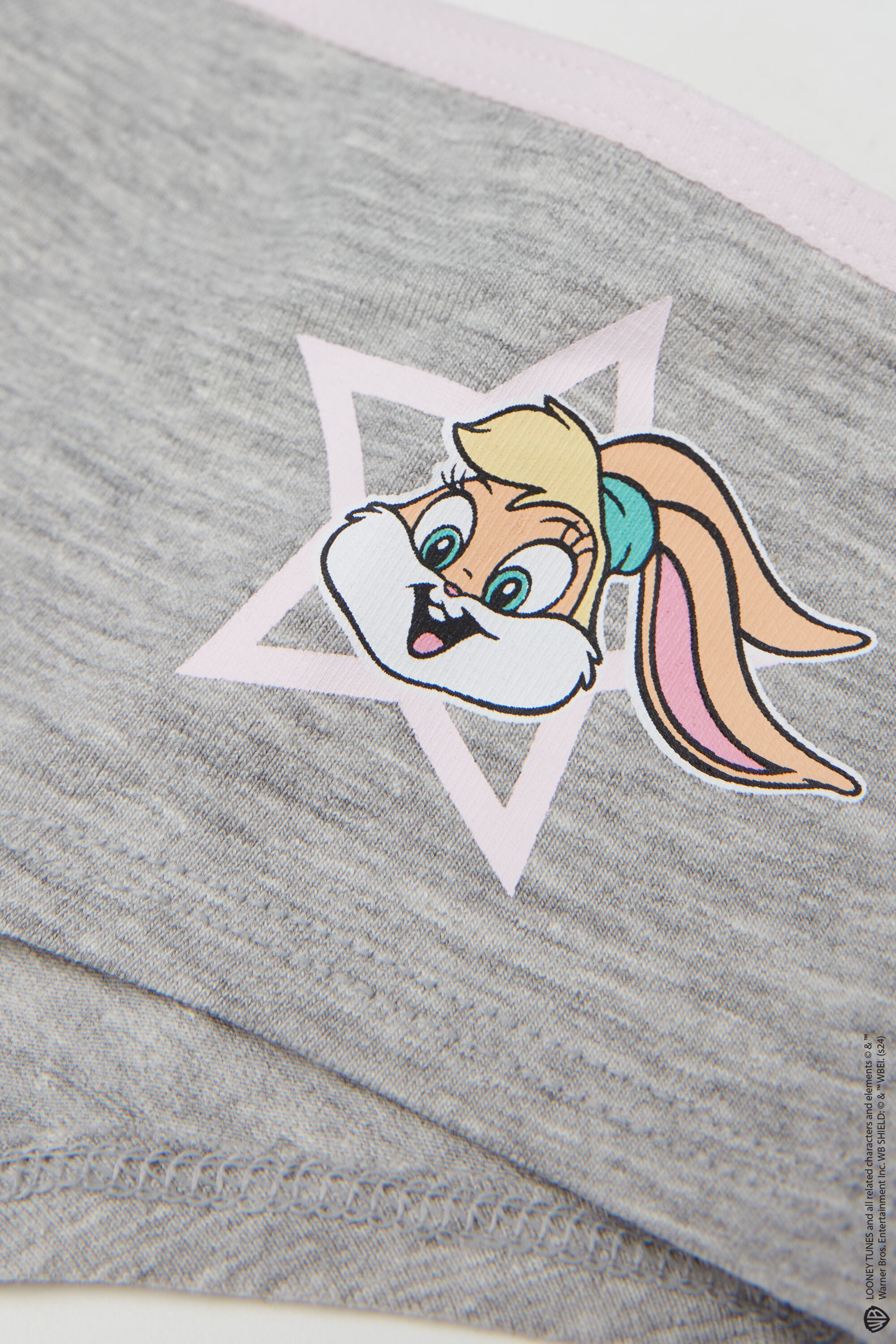 תחתונים Looney Tunes