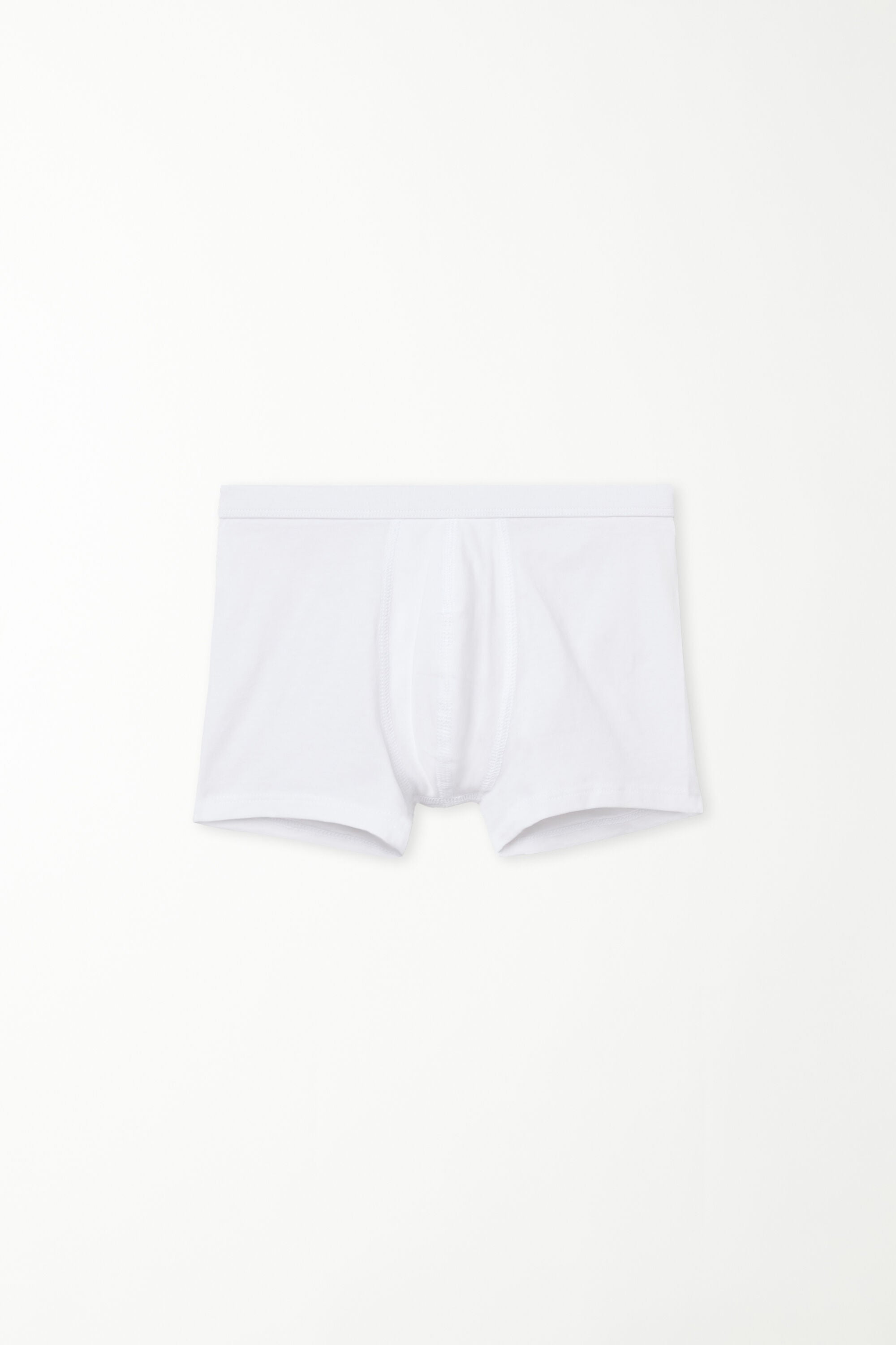 בוקסר בייסיק