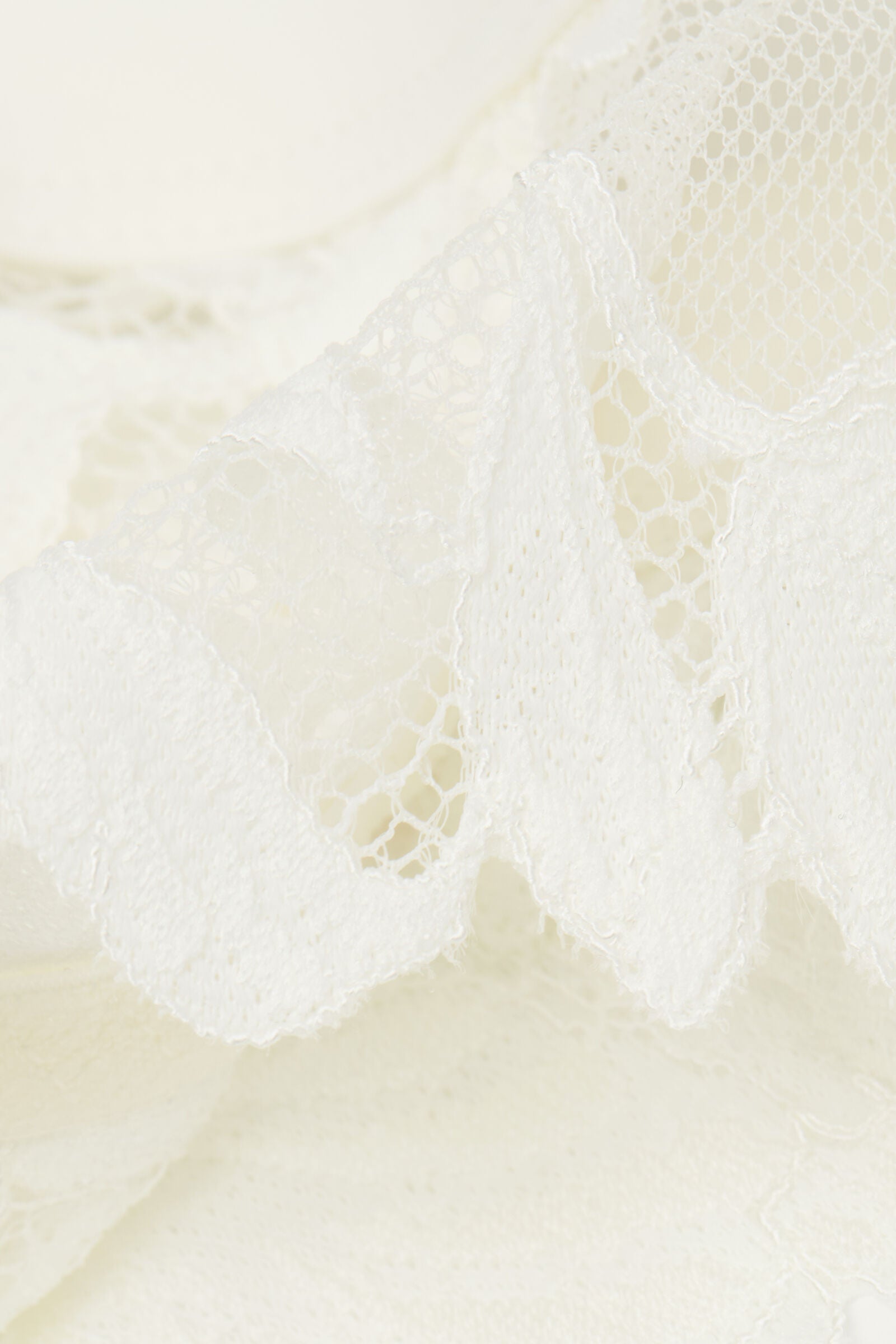 חגורת ביריות All About Flowers