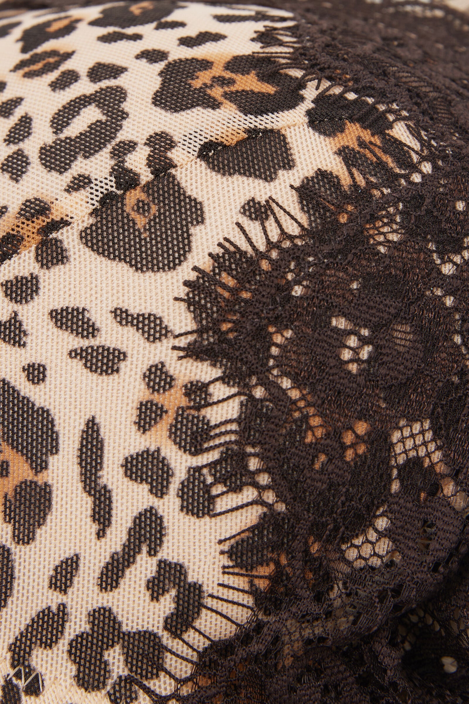 חזיית פוש - אפ Simply Iconic Monica
צבעים: