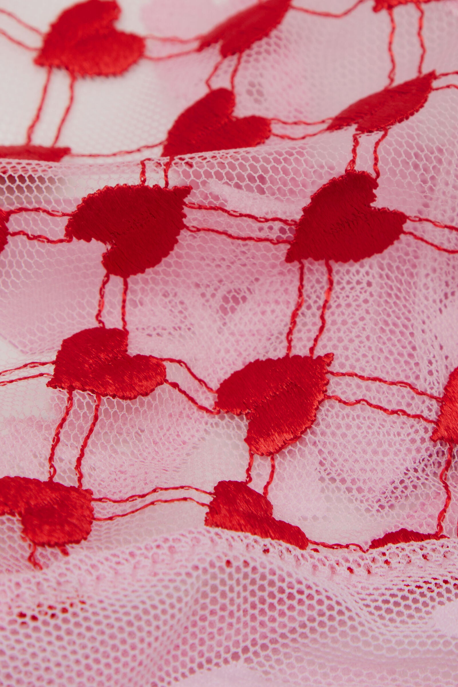 תחתוני חוטיני ברזילאיים THE LOVE Club