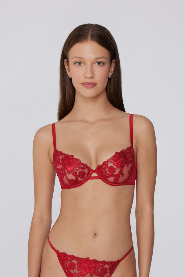 חזיית Paris ROSES WONDER