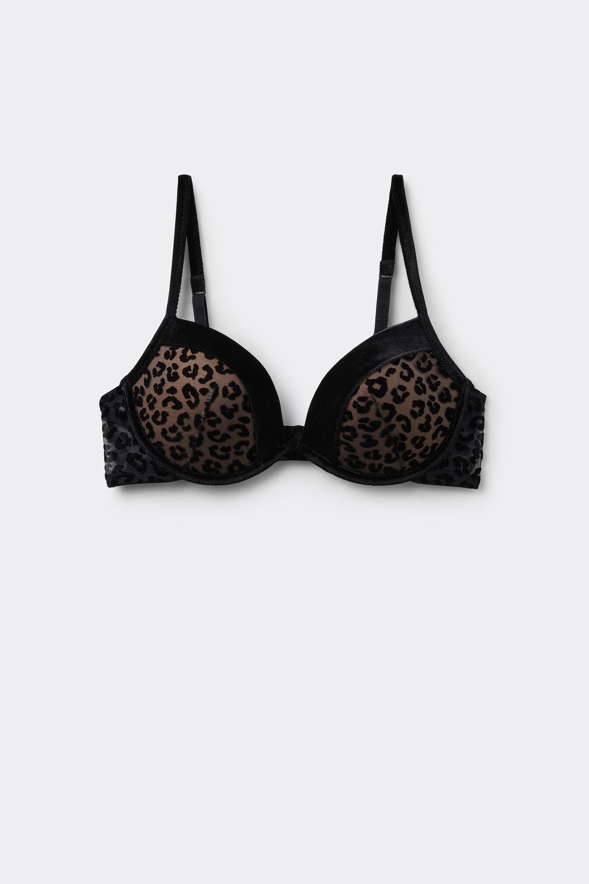 חזיית פוש-אפ מרופדת Venice Black Jaguar
