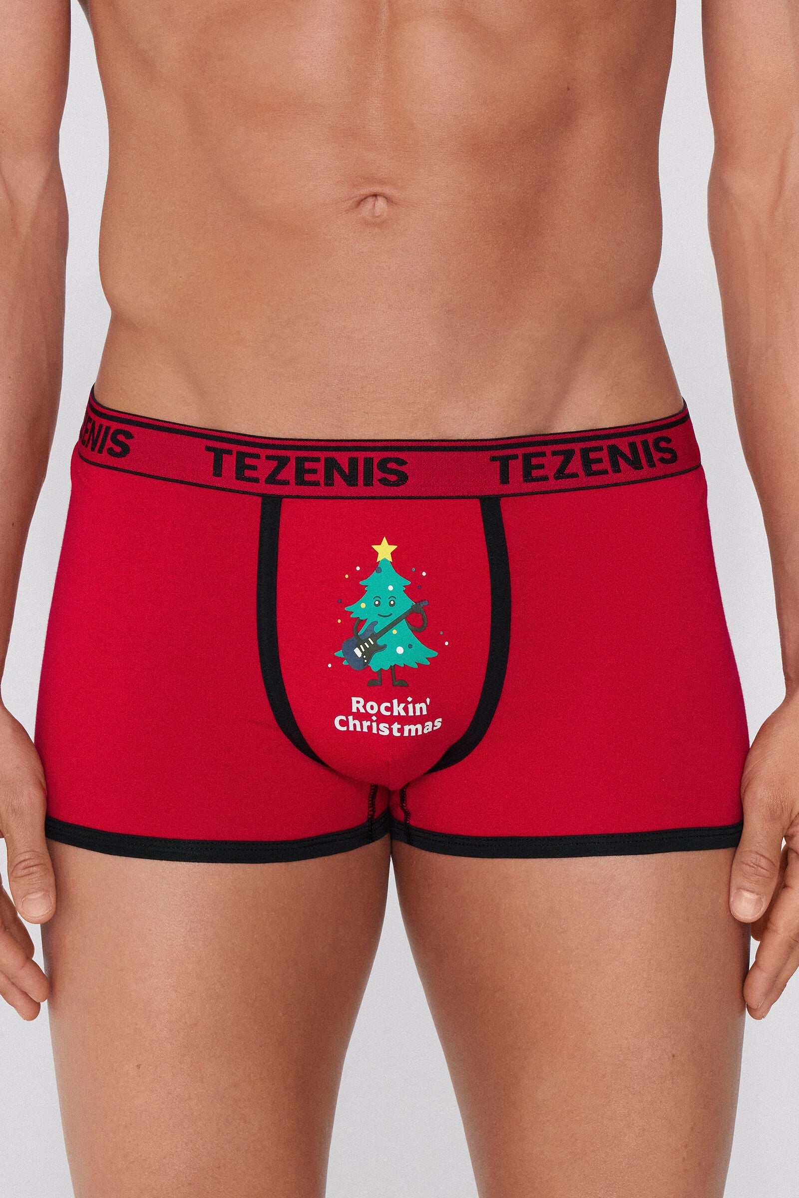 בוקסר הדפס Christmas