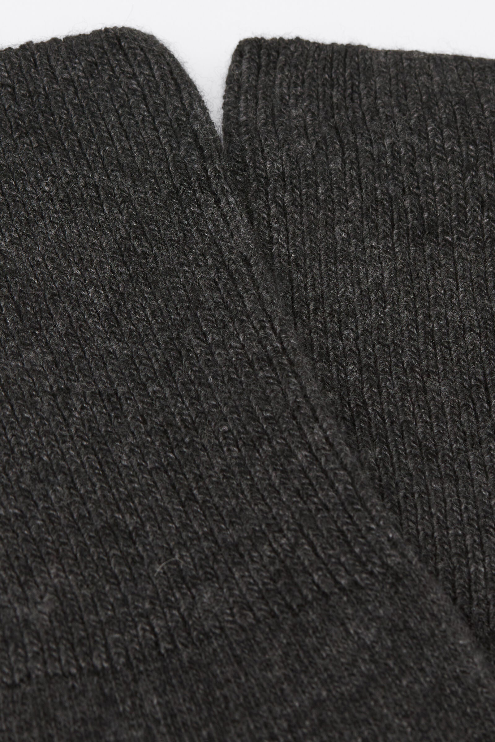 ירכוניי קשמיר